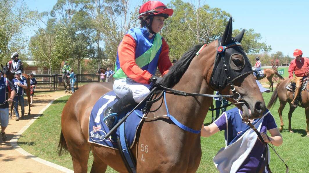 Ashleigh Stanley will ride The Long Run for her father, Peter in the Coonabarabran Cup on Sunday. Picture by Nick Guthrie