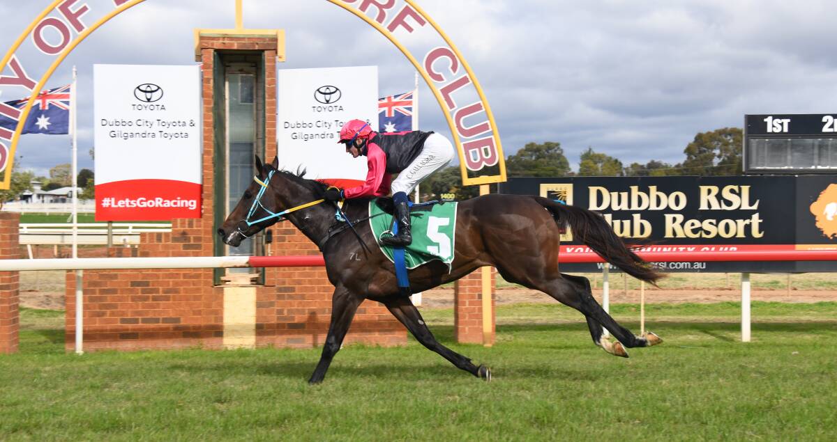 Brett Robb's Gallant Star won the 2022 Silver Goblet at Dubbo Turf Club. Picture by Amy McIntyre