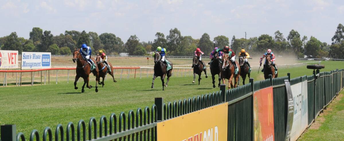 Career Change won her fourth race in dramatic fashion at Dubbo Turf Club on Friday. Picture by Tom Barber