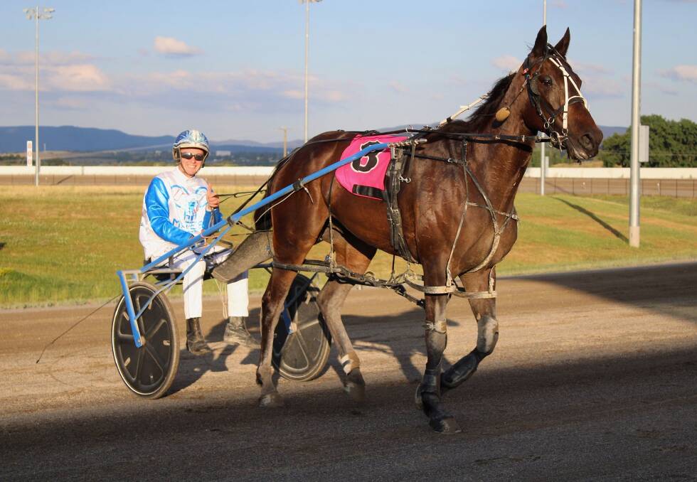 Tom Pay driving the Mat Rue-trained Goodtime Hero to victory at Bathurst Harness Racing Club in November 2020. Picture by Amy Rees