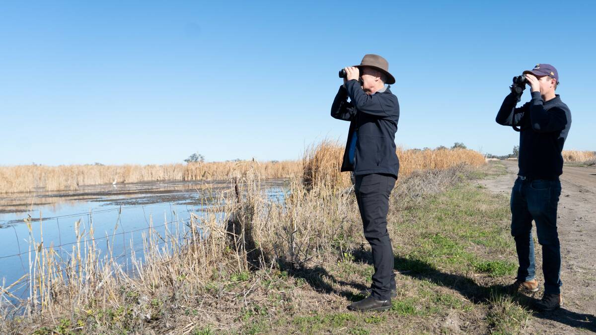 On the lookout for birdlife at the Macquarie Marshes are Commonwealth Environmental Water Holder Dr Simon Banks and Northern Murray Darling Basin Director Dr Mike Peat. Picture supplied