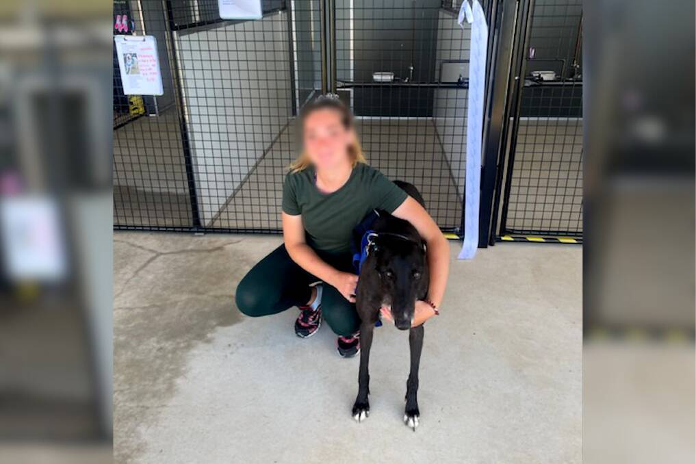 A Wellington Correctional Centre inmate with a dog she is training. Picture supplied