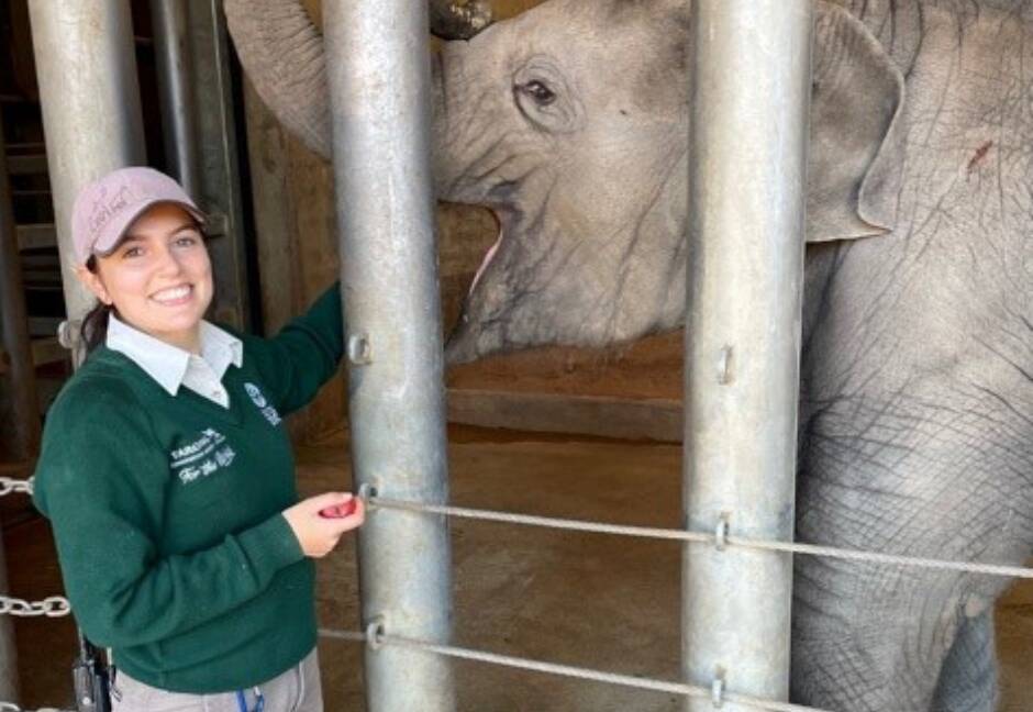 Christina Nicholas is a zookeeper at the Taronga Western Plains zoo. Picture supplied
