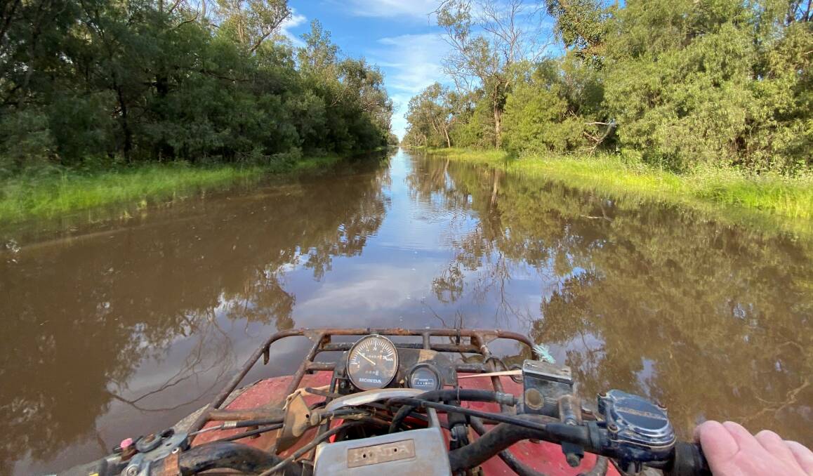 The Wye family's sheep and wool farm near the Bogan River in Nyngan is isolated by floodwater since September. Picture Supplied