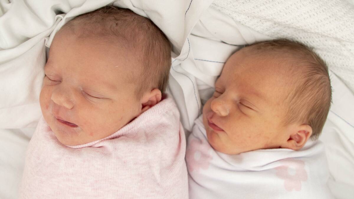 Twins Willow and Jorja born 24 January 2023 weighing 2420 and 2940 grams to parents Jasmine and Kris. Picture by Belinda Soole 