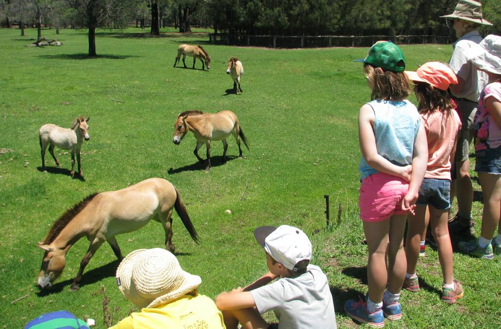 This unique school holiday program provides children with engaging experiences. Picture supplied 