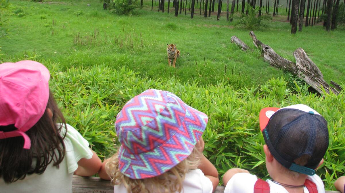 Kids will get up close with all different animals at the zoo. Picture supplied 