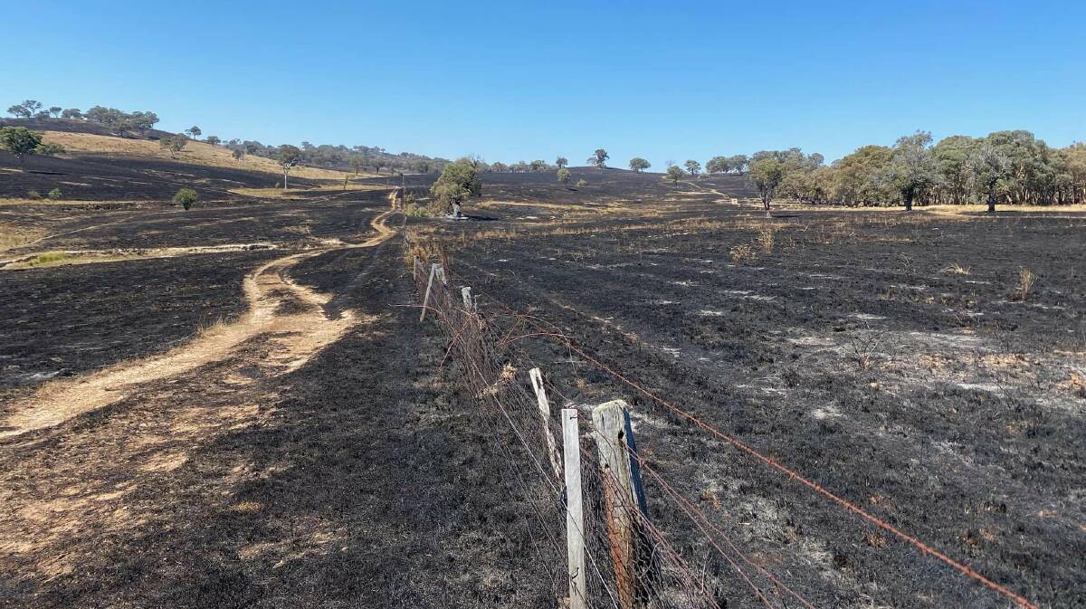 Bushfire devastation in the Hill End area earlier this year. Picture via Andrew Gee's Facebook page.