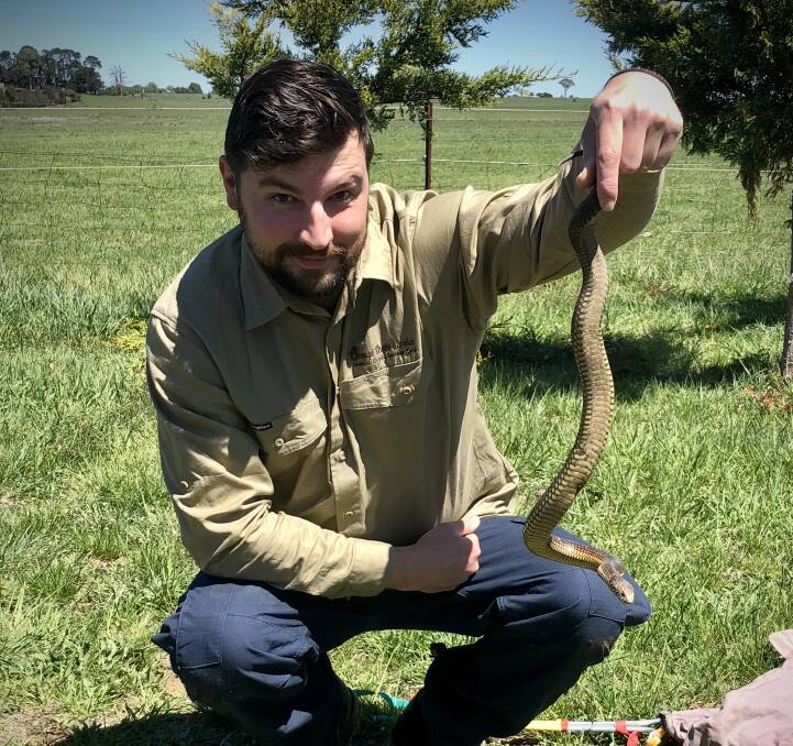 Jake Hansen has been catching snakes since he was a teenager. File picture