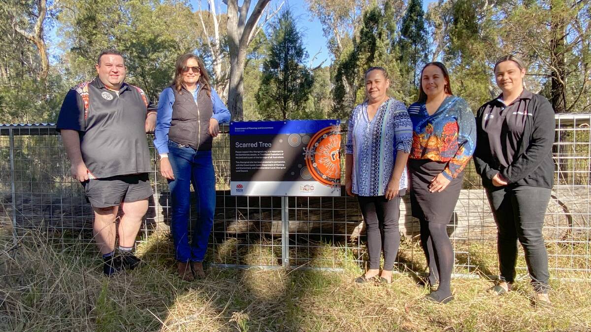 Coonabarabran LALC CEO Brandon Nixon, Crown Lands Group Leader Jacky Wiblin, and Naomi Stanton, Alicia Stanton and Talisha Kuras of Coonabarabran LALC, with the fallen scar tree. Picture supplied
