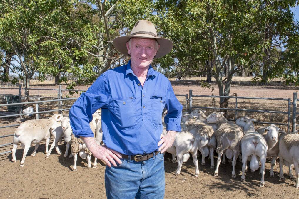 Steve Cresswell, Chief Sheep Steward at the Dubbo Show, said different breeds would add new interest to the state's largest sheep show. Picture by Belinda Soole
