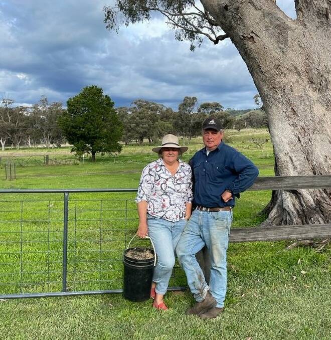 Jillie and Will Arnott's Coolah Creek property, which is being regenerated as habitat for the critically-endangered regent honeyeater. Picture supplied
