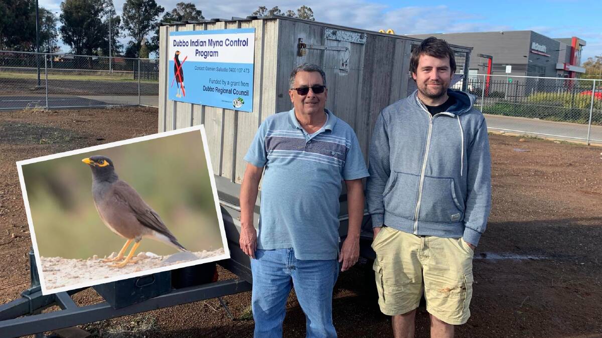 Volunteers from the Dubbo Indian Myna Control Program with one of the mobile traps recently used outside KFC, and (inset) an Indian myna. Picture from Dubbo Environment Group on Facebook and (inset) from file