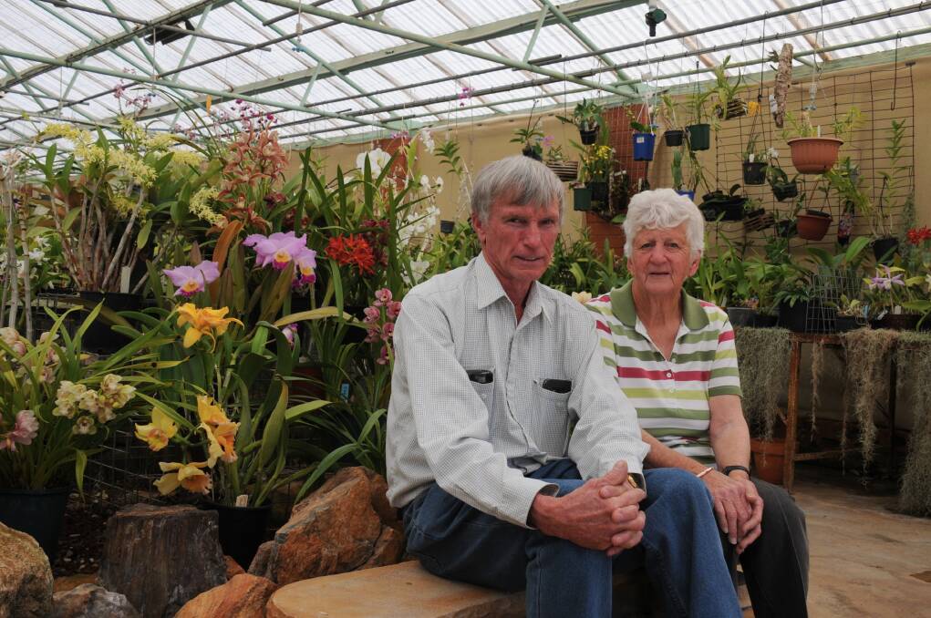 Dubbo and Orana Region Orchid Society secretary Graham Sutherland (left) with patron and inaugural member Sylvia Murphy at the orchid glasshouse in Victoria Park. Picture by Allison Hore