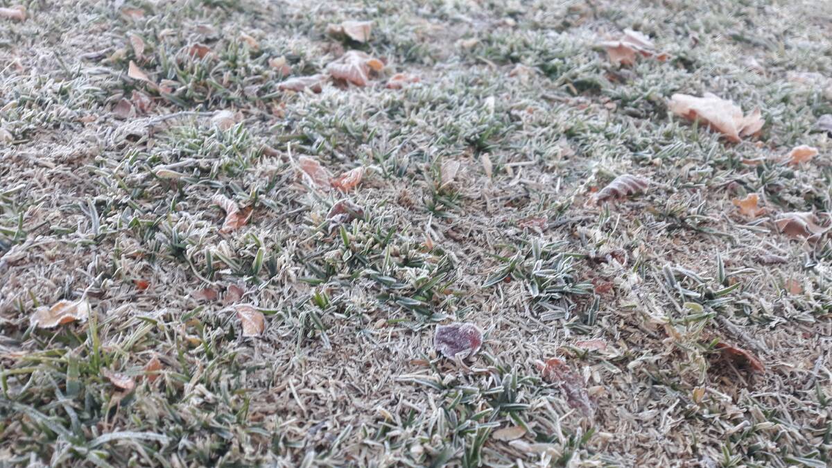 Frost on the ground in Dubbo is expected to return on the weekend. Picture by Allison Hore