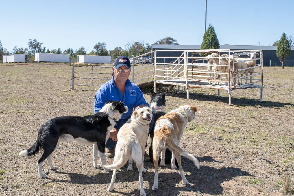 Jon Cantrall with his sheepdogs Wing, Lexie, Boots and Tyson. Picture by Belinda Soole