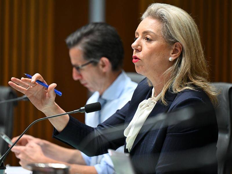 Bridget McKenzie has accused transport officials of running interference for the government. (Lukas Coch/AAP PHOTOS)
