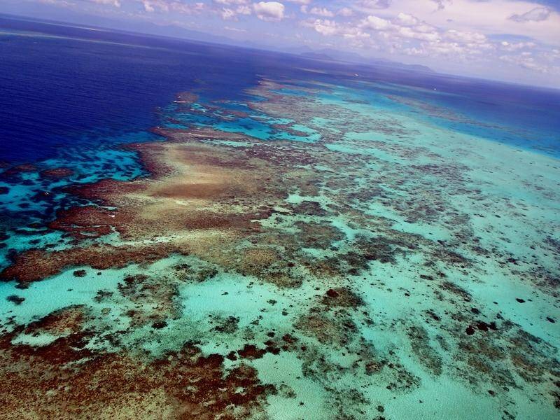 Australian officials have welcomed a World Heritage Committee decision on the Great Barrier Reef. (AP PHOTO)