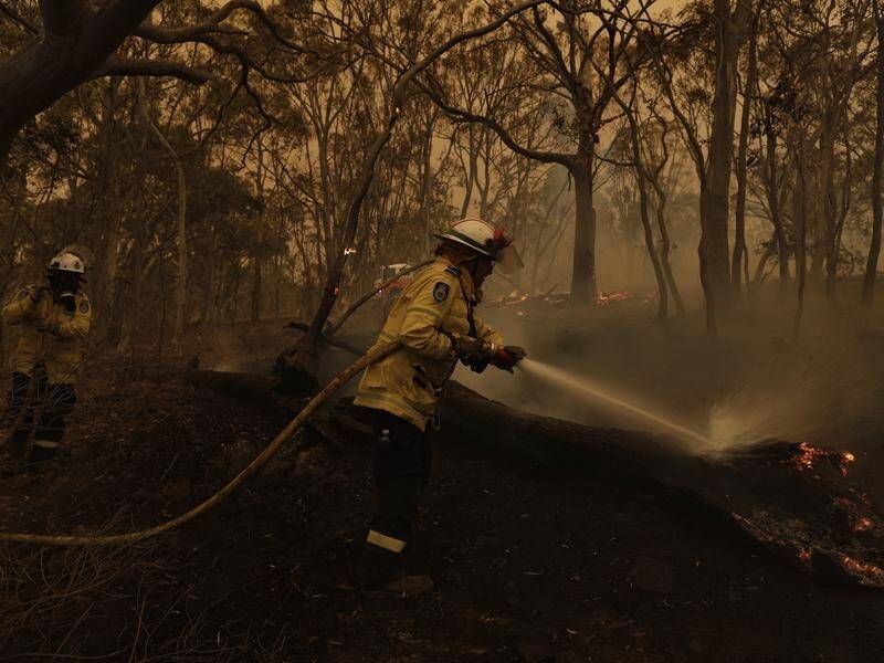 Warm and windy conditions fed recent fires in NSW sparking concerns about the next few months. (Sean Davey/AAP PHOTOS)