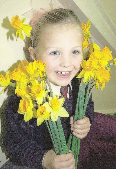 Today is Daffodil Day, and one six-year-old who’s benefited from all that yellow is Molly Toshack.